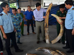 Ảnh bìa bài viết 474859