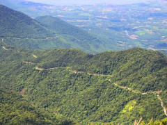 Ảnh bìa bài viết 474920