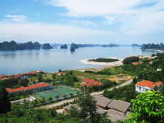 Ảnh bìa bài viết 474802