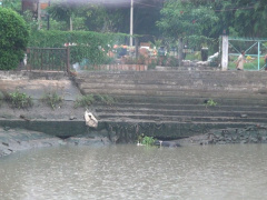 Ảnh bìa bài viết 475021
