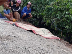 Ảnh bìa bài viết 475214