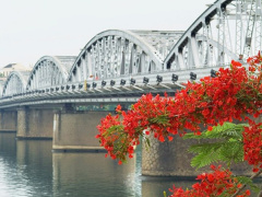 Ảnh bìa bài viết 475470