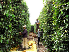 Ảnh bìa bài viết 475372