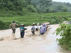Ảnh bìa bài viết 475429