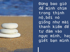 Ảnh bìa bài viết 475564