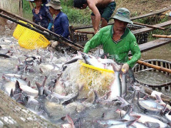 Ảnh bìa bài viết 475546