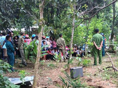 Ảnh bìa bài viết 475624