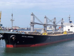 Ảnh bìa bài viết 475989