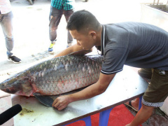 Ảnh bìa bài viết 476329