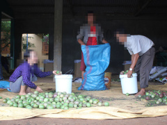 Ảnh bìa bài viết 476086