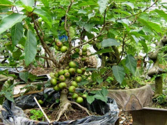 Ảnh bìa bài viết 476197
