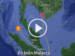 Ảnh bìa bài viết 476150