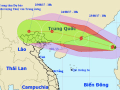 Ảnh bìa bài viết 476548