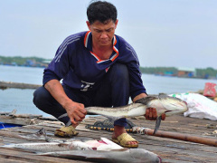 Ảnh bìa bài viết 476767