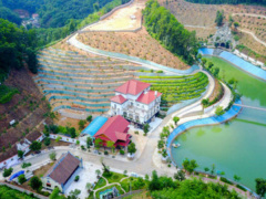 Ảnh bìa bài viết 477072
