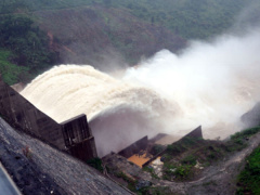 Ảnh bìa bài viết 477174