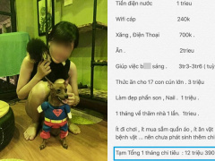 Ảnh bìa bài viết 477307