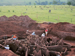 Ảnh bìa bài viết 477363