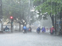 Ảnh bìa bài viết 477227