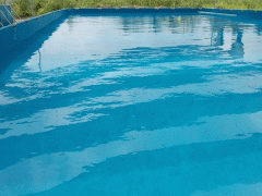 Ảnh bìa bài viết 477630