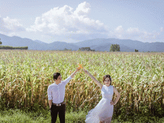 Ảnh bìa bài viết 477729