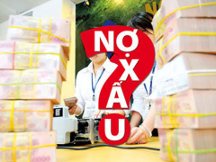 Ảnh bìa bài viết 477677