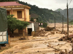 Ảnh bìa bài viết 477785