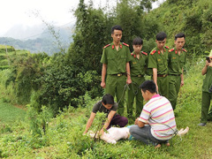 Ảnh bìa bài viết 477698