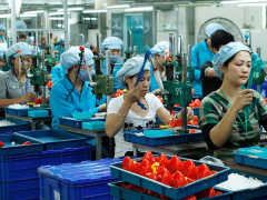 Ảnh bìa bài viết 477898