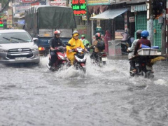 Ảnh bìa bài viết 477802