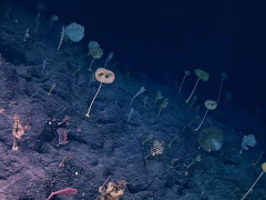 Ảnh bìa bài viết 477820