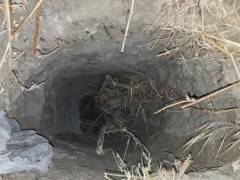 Ảnh bìa bài viết 477834