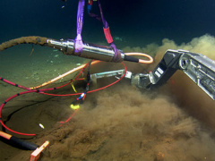 Ảnh bìa bài viết 478066