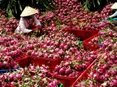 Ảnh bìa bài viết 477827