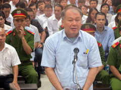 Ảnh bìa bài viết 478321