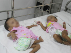 Ảnh bìa bài viết 478329