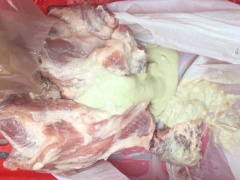 Ảnh bìa bài viết 478614