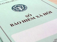 Ảnh bìa bài viết 478523