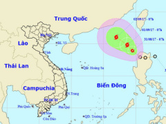 Ảnh bìa bài viết 478681
