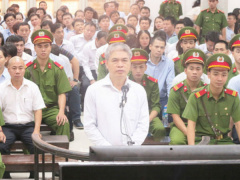 Ảnh bìa bài viết 478629