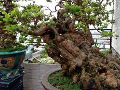 Ảnh bìa bài viết 478643