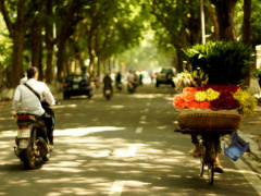 Ảnh bìa bài viết 478620