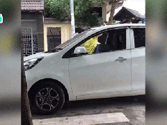 Ảnh bìa bài viết 478757