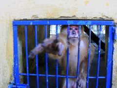 Ảnh bìa bài viết 479060