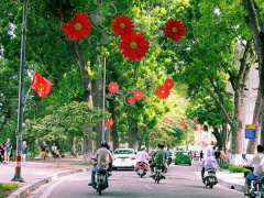 Ảnh bìa bài viết 478876