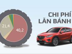 Ảnh bìa bài viết 478929
