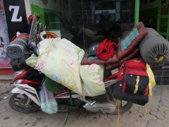 Ảnh bìa bài viết 479135