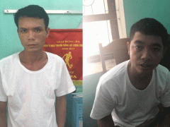 Ảnh bìa bài viết 479275