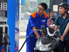 Ảnh bìa bài viết 479318