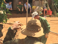 Ảnh bìa bài viết 479422